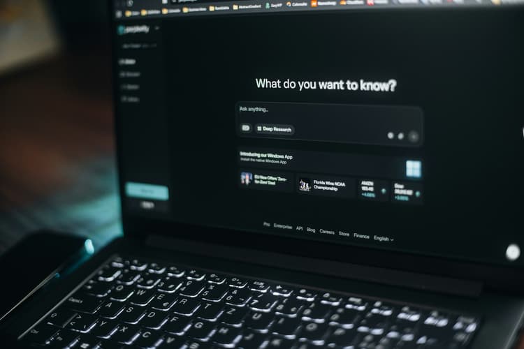 Yandex neyro-qidiruvi sizning trafigingizni yemoqda: hozir nima qilish kerak